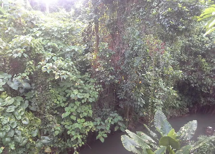 Pensión Dewi Ayu Ubud