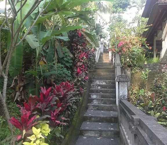 Dewi Ayu Pensión